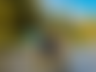 Hooked on Vail: Fly Fishing with Gore Creek