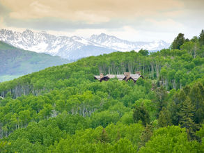 Suzi Apple's Vail Valley Development Series