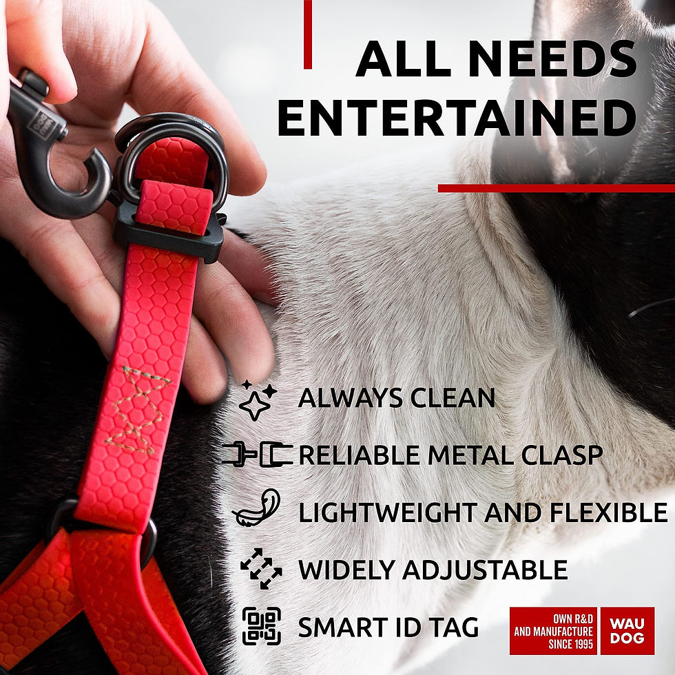 Miniatura: Red Waterproof Dog Harness Adjustable for Small Dogs S Size 1622 inch