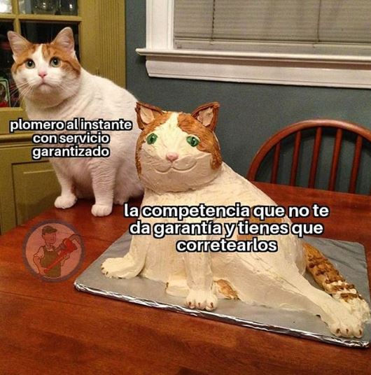 #plomeroalinstante_memes1