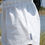 Küçük resim: 'DEYA' WHITE SHORTS