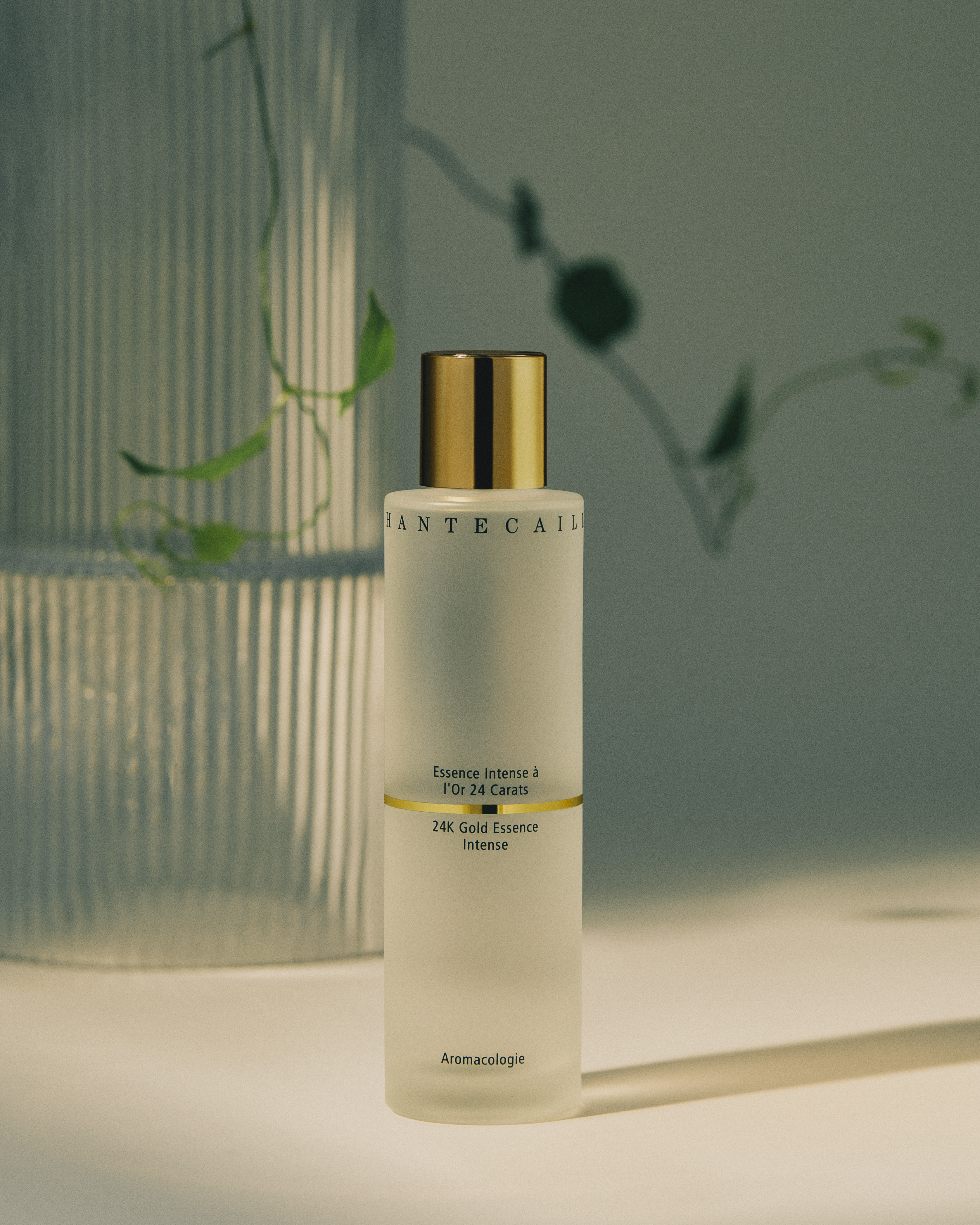 Chantecaille Gold Collection Campaign still life beauty photography