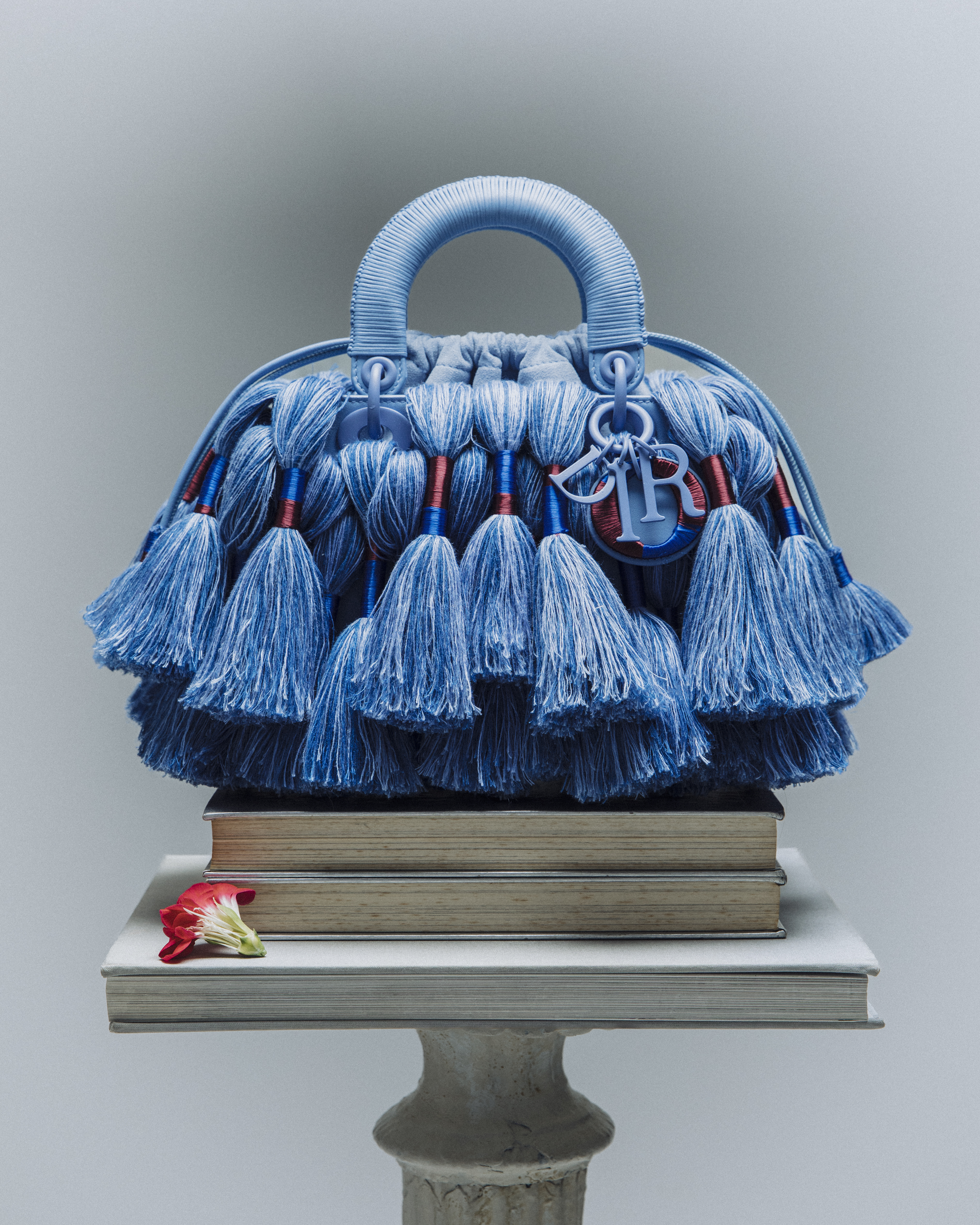 Vanity fair Dior bag
