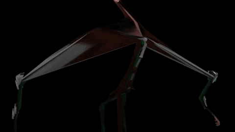 AnimationDebugging.gif