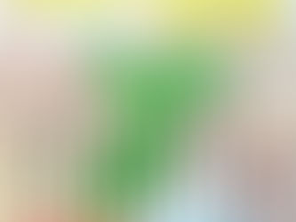 1月５日の歩数合計