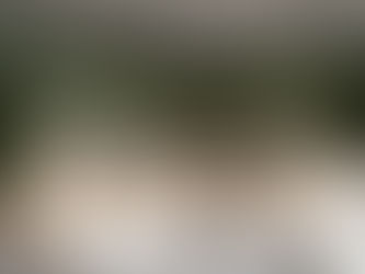 Innovative Workspace Designs for Coworking Creativity and Collaboration at Digital Jungle