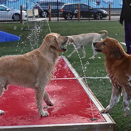 Splash Pads