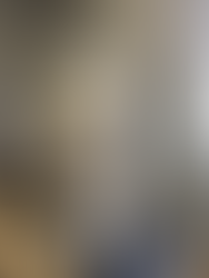 Dog Grooming in Houston, Dog Grooming Houston Energy Corridor, Doggy Daycare Jobs in Houston
