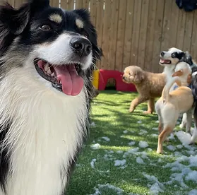 Appropriate Play Groups