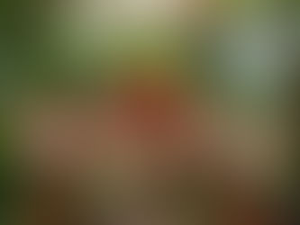 Cómo Escribir un Ensayo sobre la Generosidad