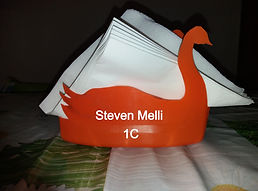 foto%20cigno%201%20Melli%201C_edited.jpg