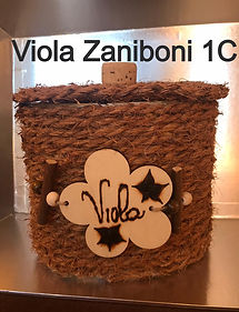 viola%20zaniboni%201C_edited.jpg