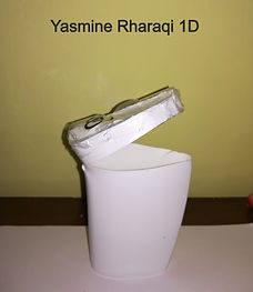 manar_edited.jpg