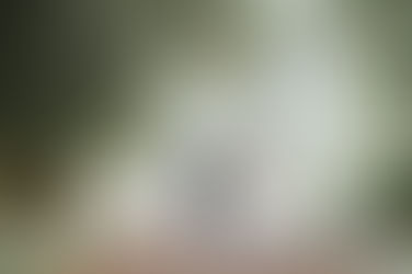 Yvonne & Adam's wedding at Murthly Castle, Scotland.