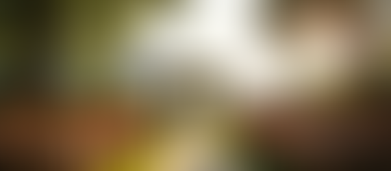 How to Choose the Right Photographer for Your Special Day