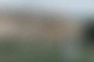 Newlyweds Louisa & Mark walking hand in hand through the picturesque gardens of Balbirnie House.