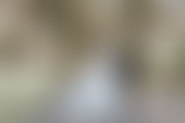 Laura and Shaun's wedding at Glanapp Castle, Scotland.