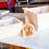 Thumbnail: Hand Made Wooden "Madia" Pizza Dough Box by VPN
