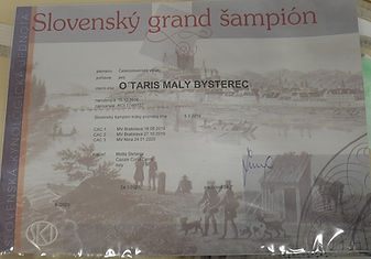 O'TARIS GRAN CH SLOVACCHIA.jpg
