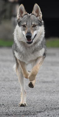 DSC_0319_edited.jpg