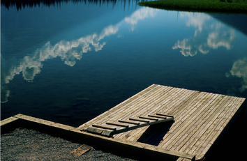 b8ccd8_a0da50f8fc924d1fb5195dfc383ab3f1~mv2.png
