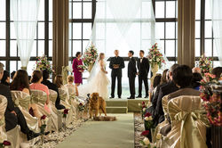 My Boyfriend's Dogs_2172