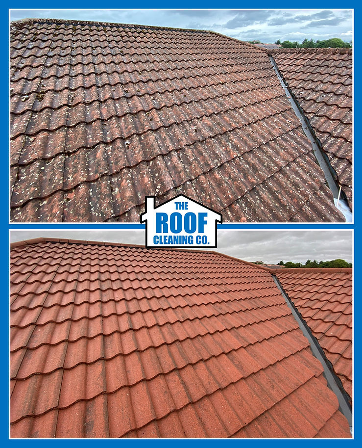 Bathgate, Roof Clean