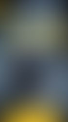 L’Avare : « Ma cassette ! Où est ma cassette»