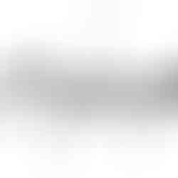 logo lattitude contemporaines