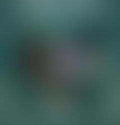 "Qui a peur" : Tom Lanoye revitalise un classique avec maestria