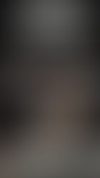 Les voyageurs du crime