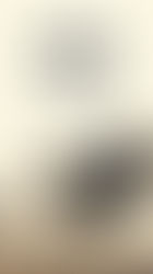 Park. Actuellement au cinéma