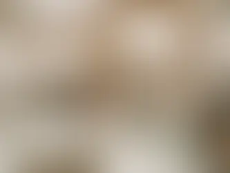 Massage à la Mosquée de Paris : tarifs, accès et infos