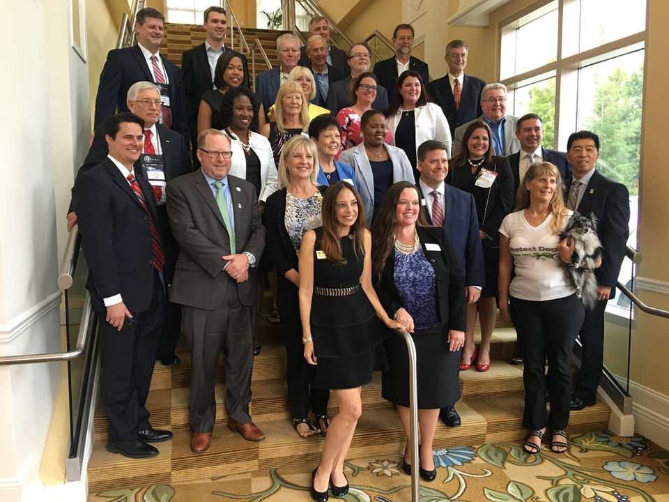 Paige with the Solo and Small Section group of the Florida Bar