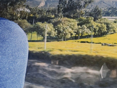 Destellos y espectros del pasado