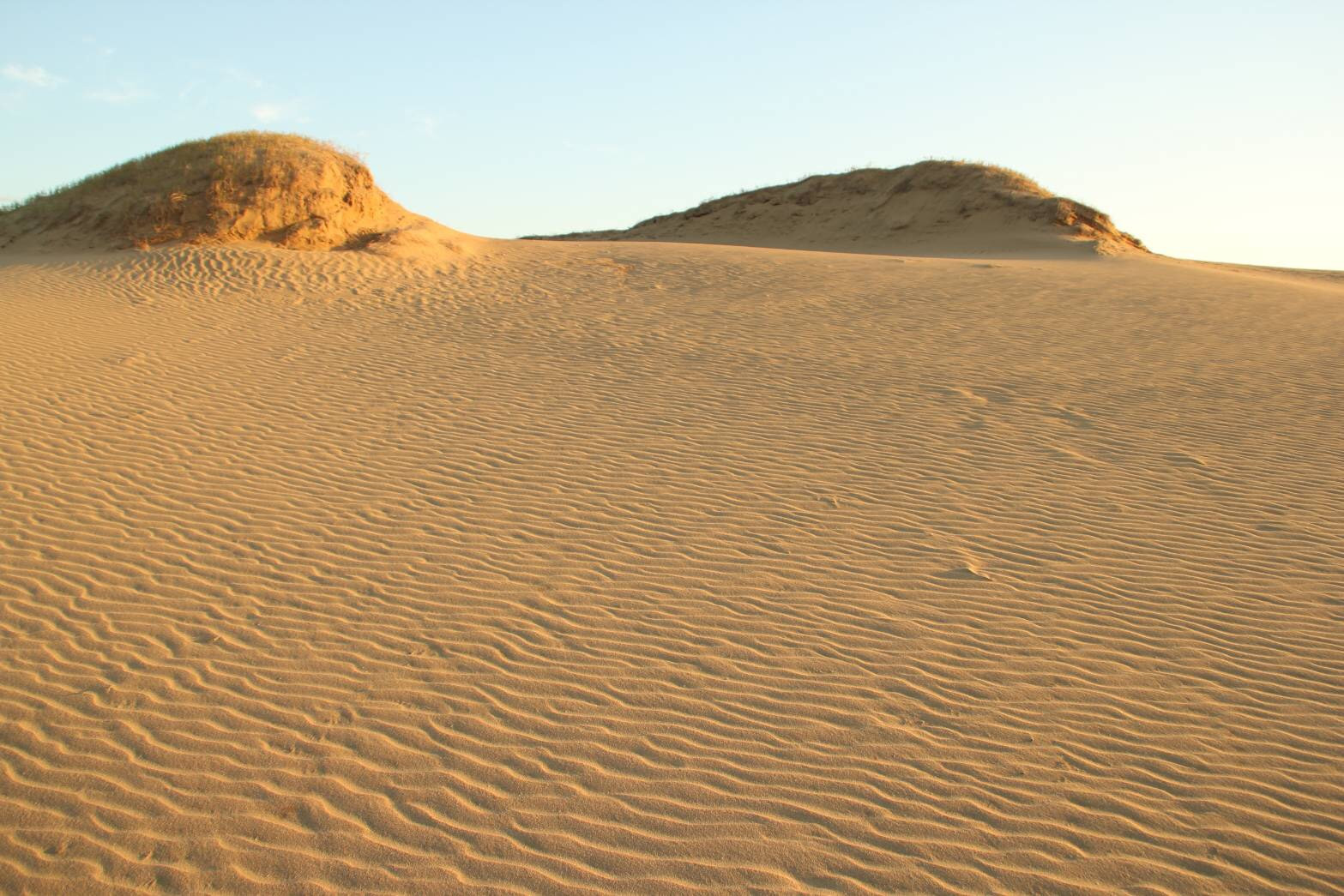 最も選択された 鳥取 砂丘 風紋 砂丘 鳥取 風紋 Maryhammonsjp