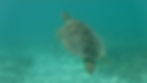 20170615080148