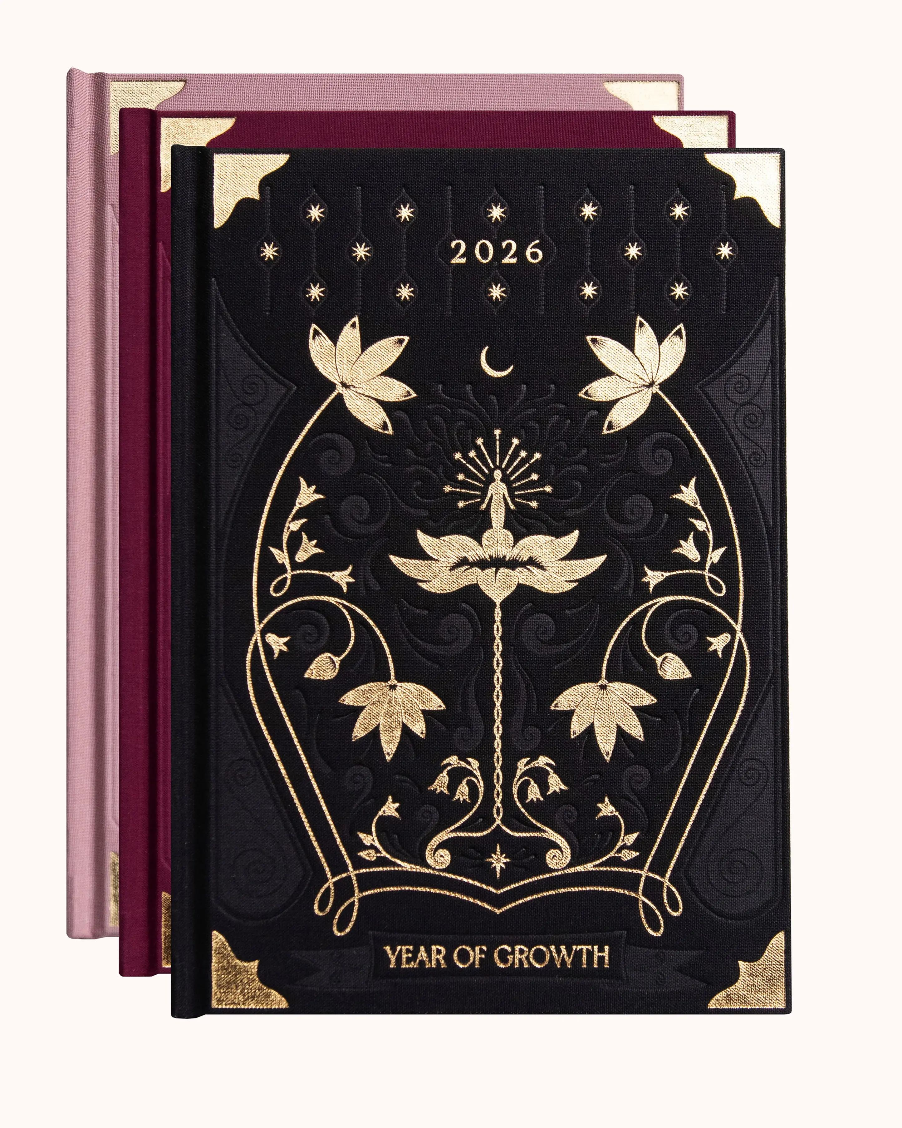 Dreamy Moons | 2026 Year of Growth Diary