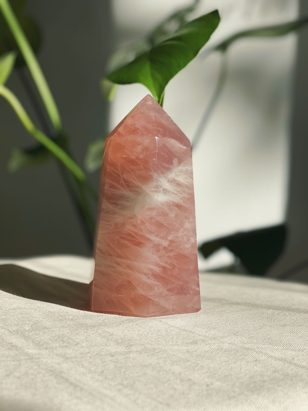 Thumbnail: Rose Quartz Polished Point Generator I XL