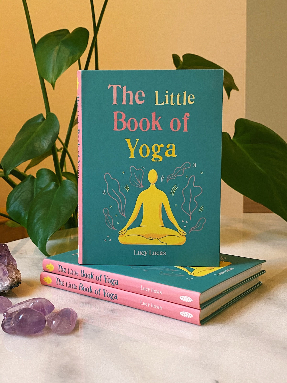 The Little Book of Yoga