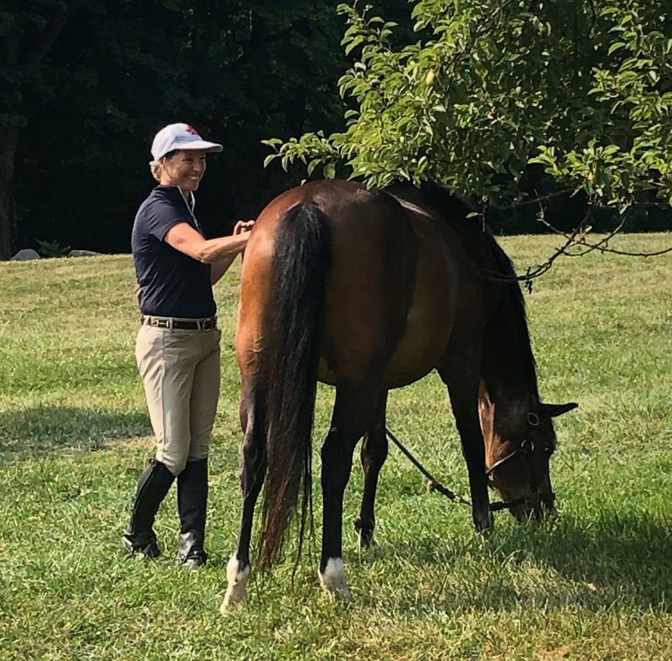 Joey's Sheet of Many Colors