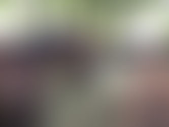 Time to Spring Forward