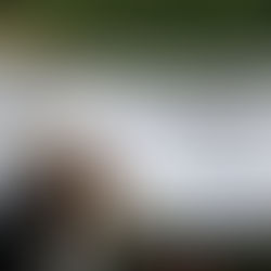 Camille soutient "La Team Lili" aux O.F.N.I 2024