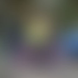 Entraînements "Le défi de Camille"