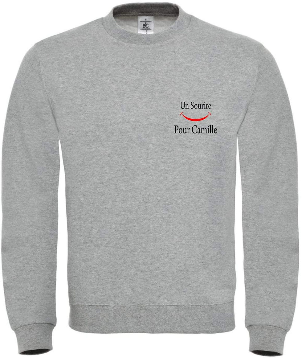 Miniature : Pull (petit logo)