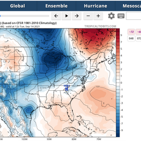 Tropical Storm Nicholas Forms: What This Means for Houston