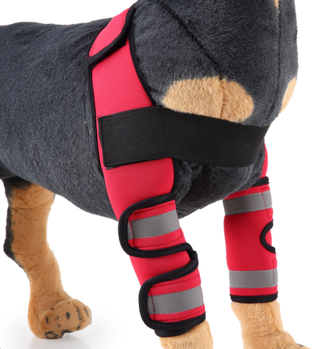 Miniatura: Dog Knee Brace and Leg Protector for Injury Recovery - Pet