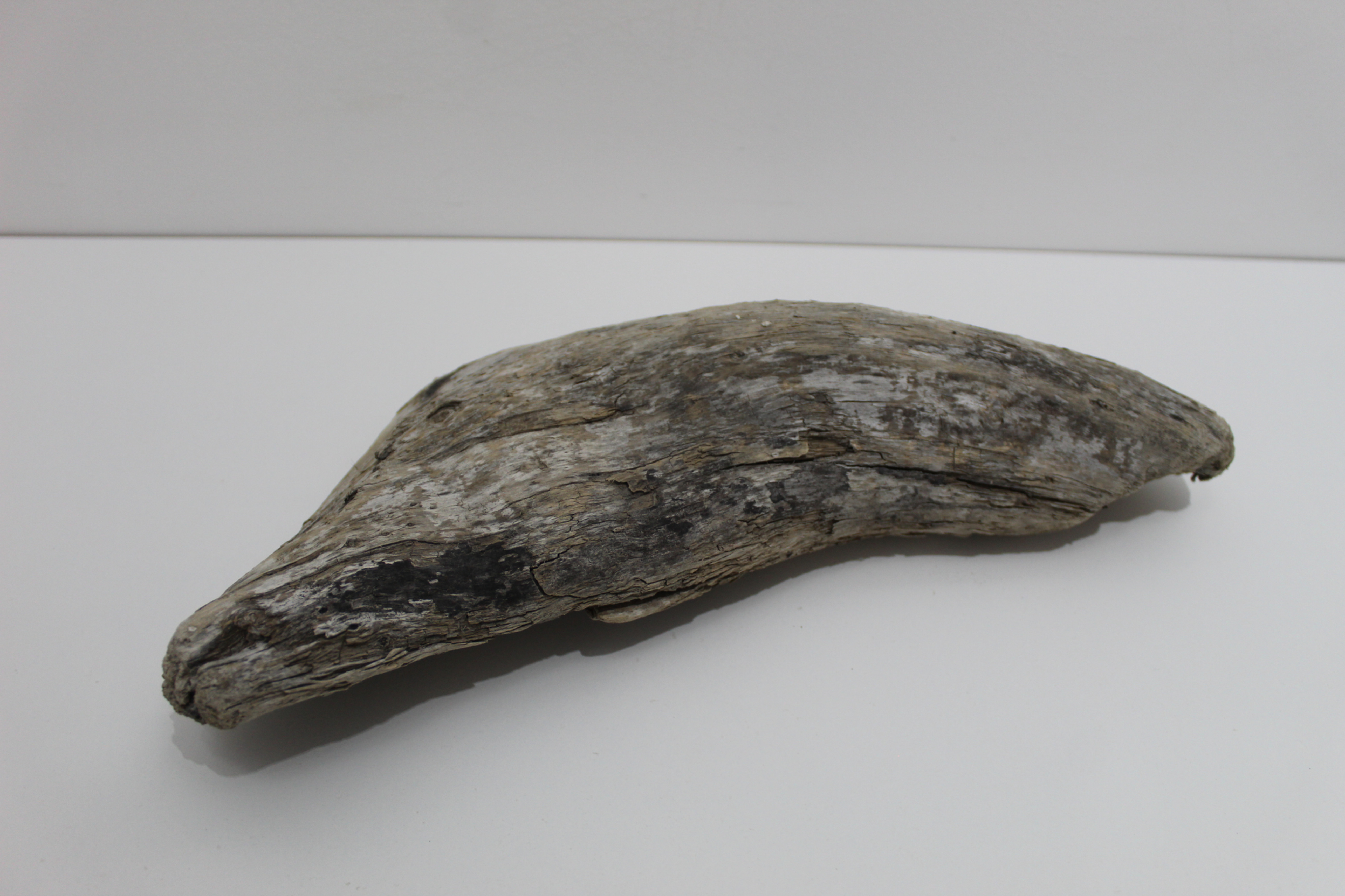 Wildholz #6
