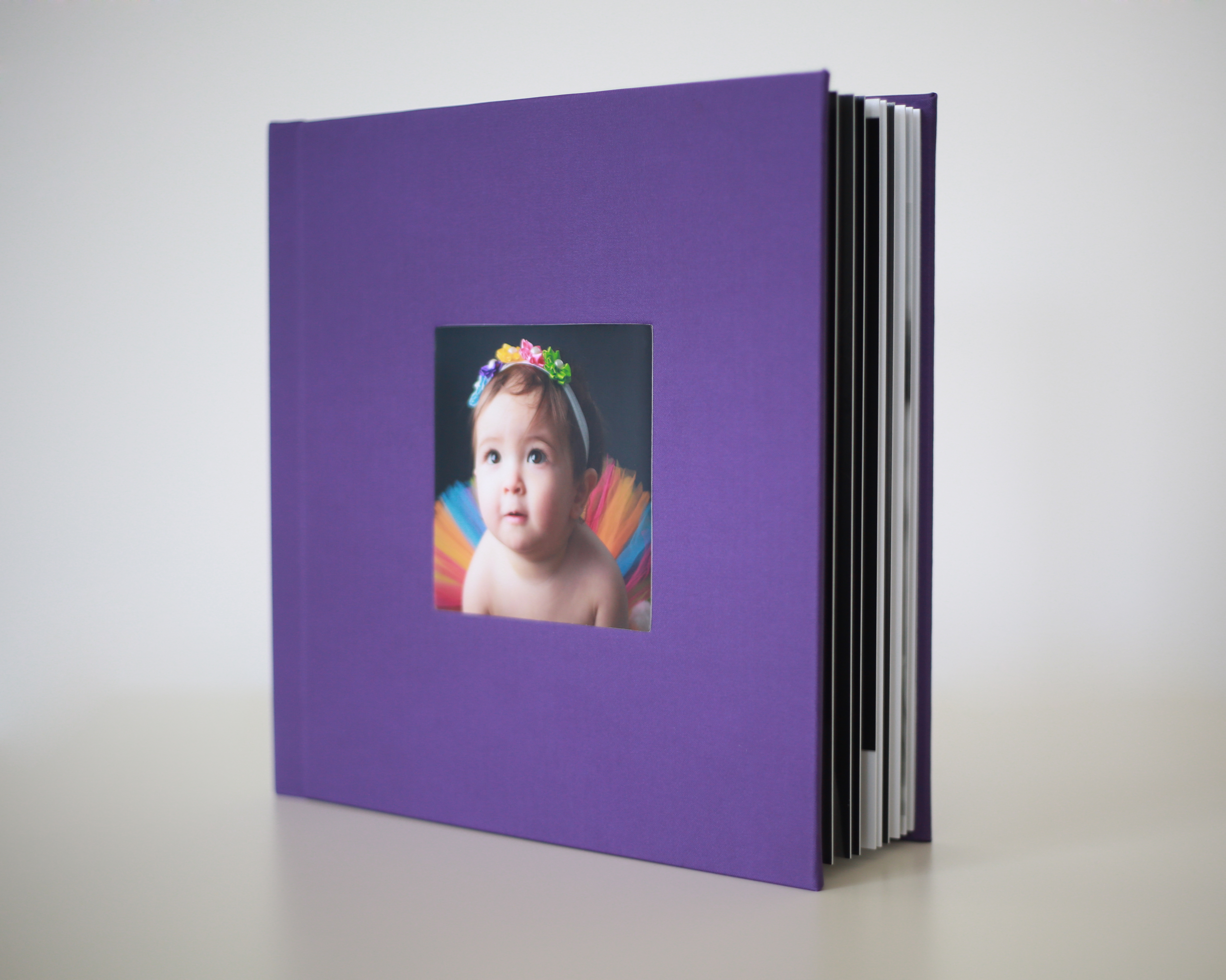 Le Livre-Album de 25 images