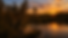 twilight 1.png